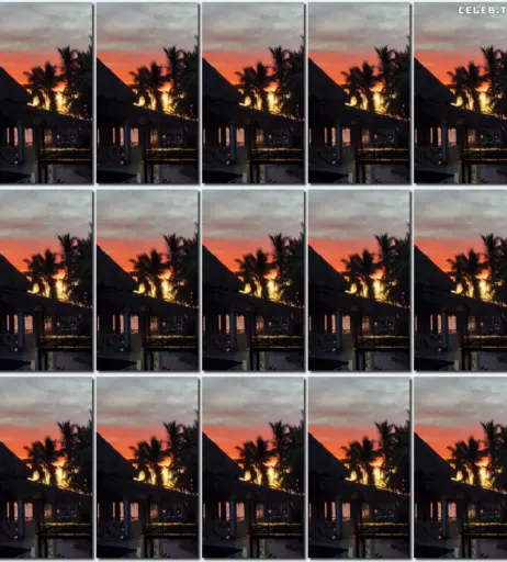 Image 588909 from Joana Salamone