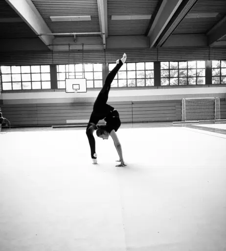 Image 585635 from Stinalex