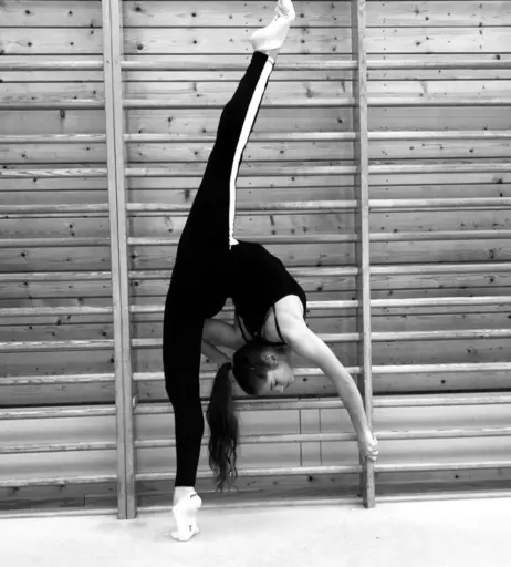 Image 585258 from Stinalex