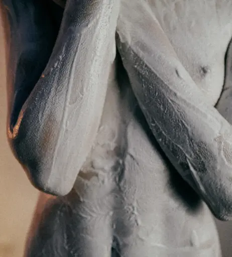 Image 585347 from Rosa von Lobenstein