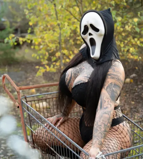 Image 581621 from Stifflersmom