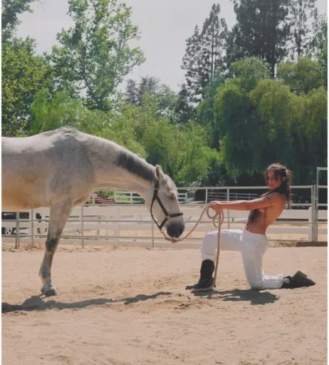 Image 581727 from Addison Rae