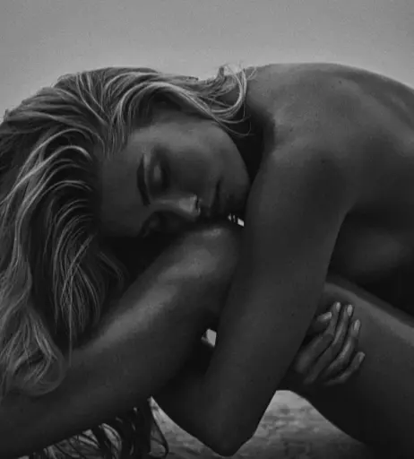 Image 595369 from Pamela Reif
