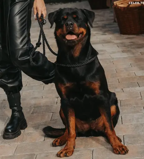 Image 549786 from Stephanie Davis