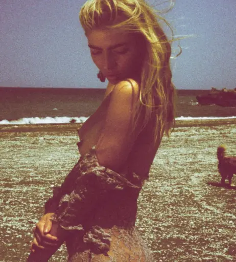 Image 549105 from Lisa Seiffert