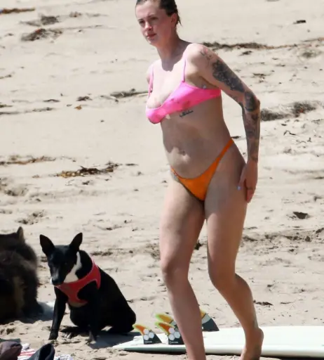 Image 5491984 from Ireland Baldwin