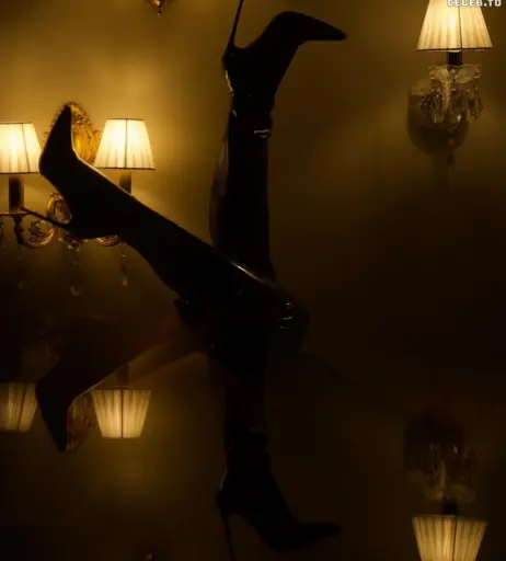 Image 549933 from Stephanie Davis