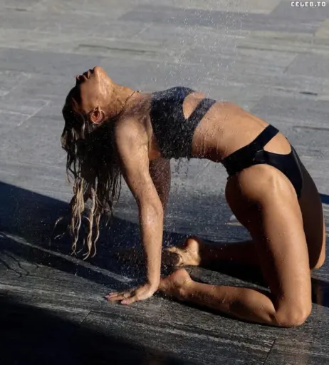 Image 547075 from Stephanie Davis