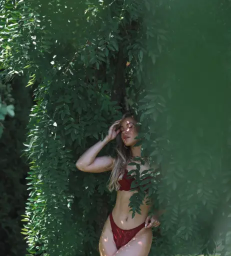 Image 545589 from Stephanie Davis