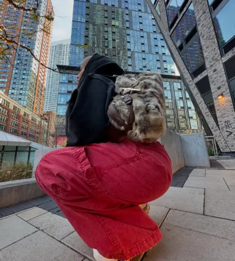 Image 5453644 from Giuliana Ava