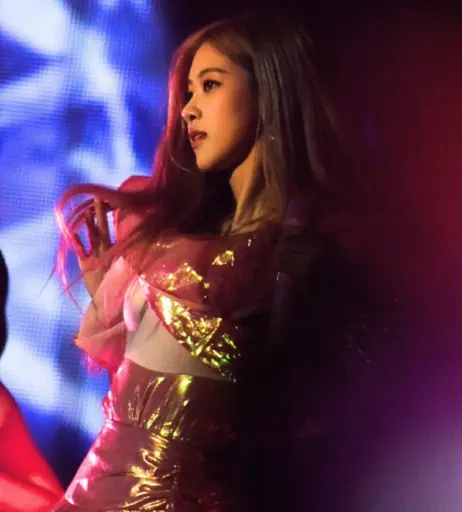 Image 5539274 from Rosé || Roseanne Park - BLΛƆKPIИK ( BLACKPINK )