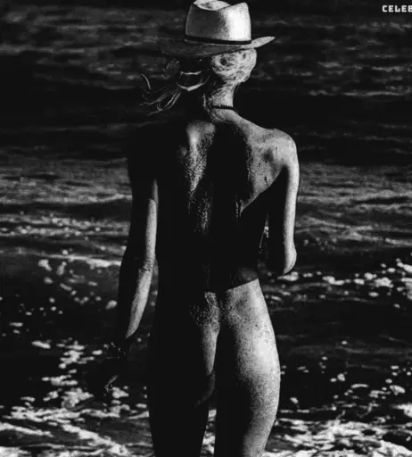 Image 550568 from Lisa Seiffert