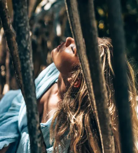 Image 550653 from Stephanie Davis