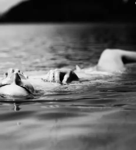 Image 550491 from Lisa Seiffert