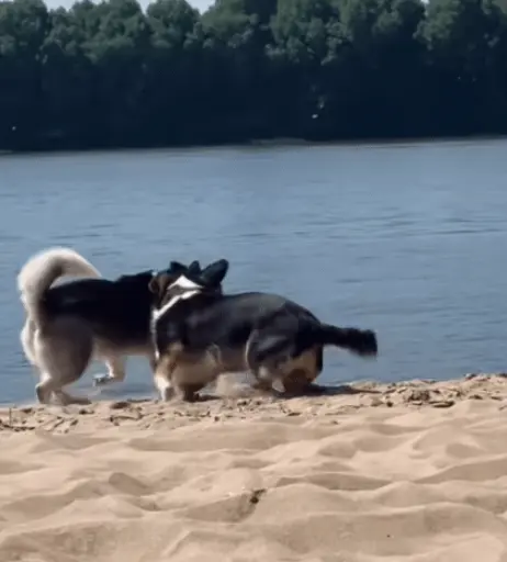 Image 550294 from Phia Quantius