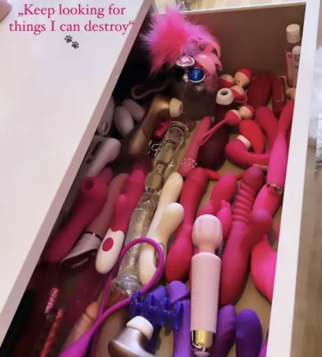 Image 569631 from Princess Léonie Alwine