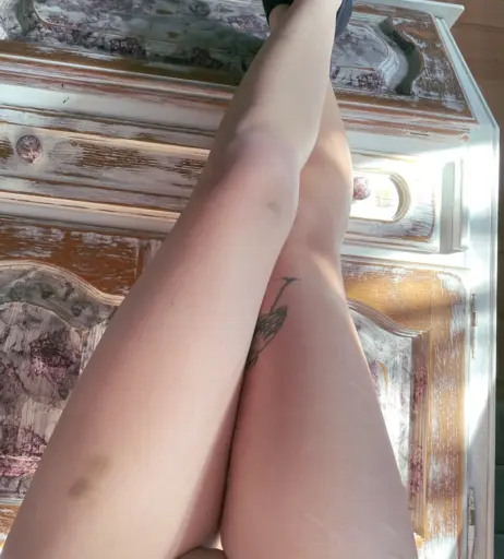 Image 565109 from Aalexandrawbr