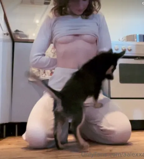 Image 564772 from Aalexandrawbr