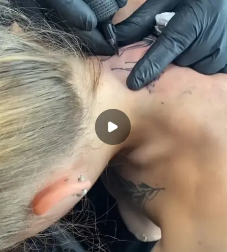 Image 579268 from Lisaxptc