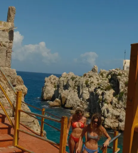 Image 570553 from Alica Schmidt