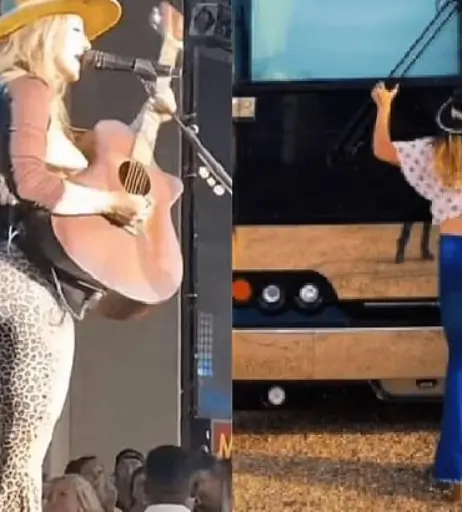 Image 5067135 from Lainey Wilson