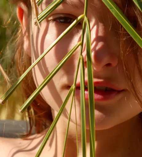 Image 505196 from Luba Shumeyko