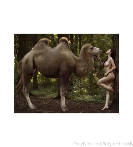 Image 5022118 from lmytee / lilamytee / lilamytee1 / lilamytee1_ / Lila Mytee