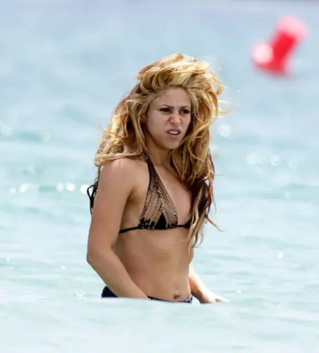 Image 4197119 from Shakira