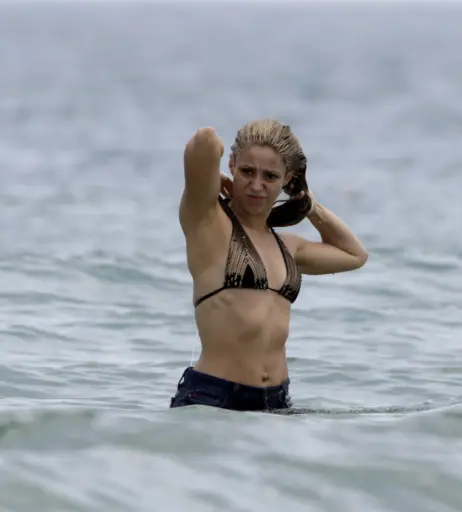 Image 4197203 from Shakira