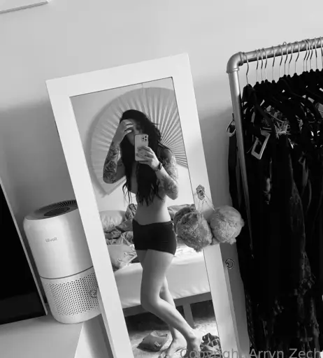 Image 4144000 from Arryn Zech