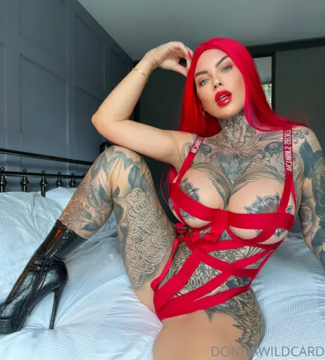 Image 4142530 from Donna Wildcard