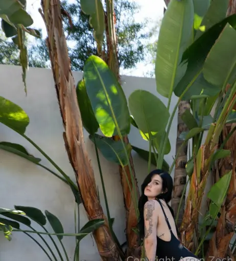 Image 4135627 from Arryn Zech