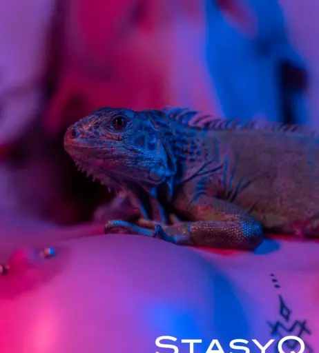 Image 4135280 from pretty_potatoo