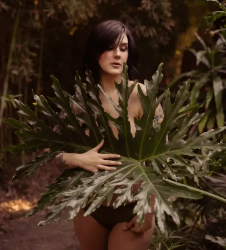 Image 4122121 from Arryn Zech