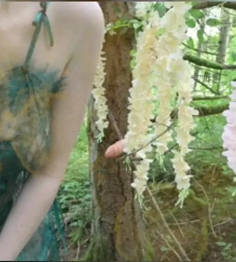 Image 4114343 from Rose Kelly