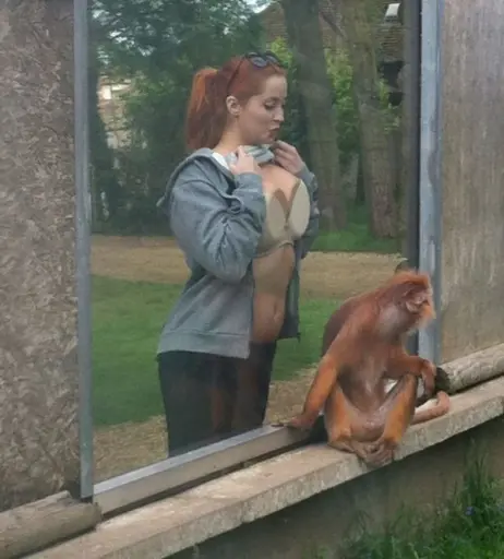 Image 4102284 from Lucy Vixen / Lucy Collett / Lucyv