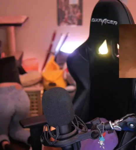 Image 4296557 from samora / samoraeu