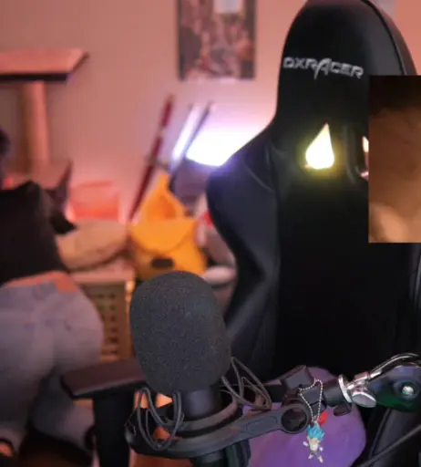 Image 4296467 from samora / samoraeu