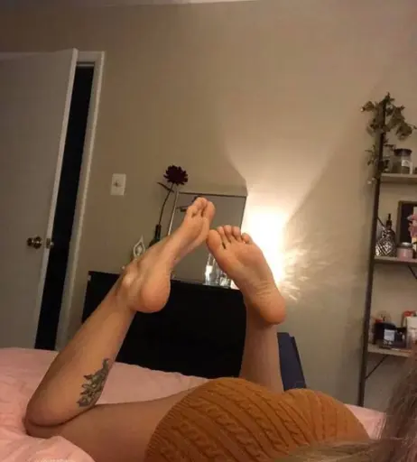 Image 4292133 from Purrrtrova