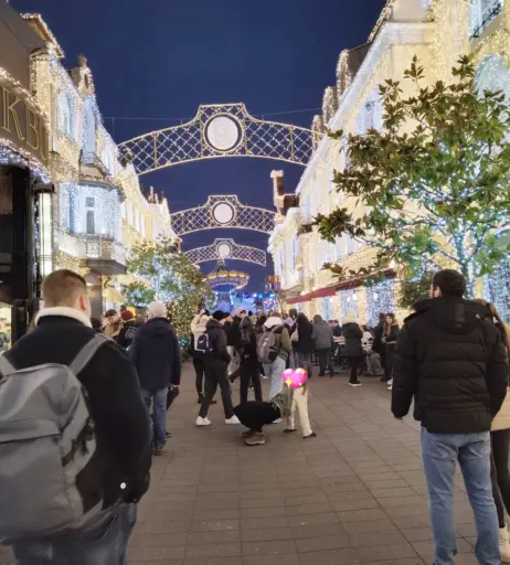 Image 4299535 from inislein