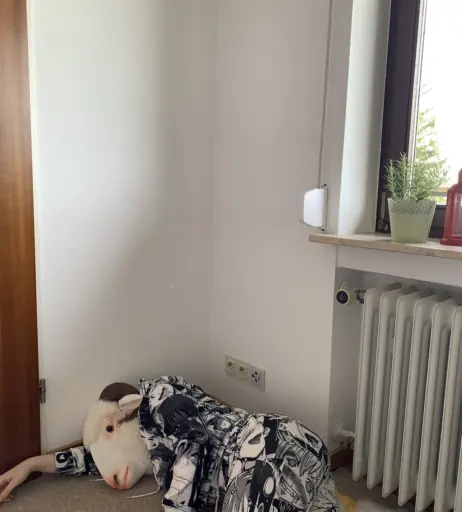 Image 4299995 from inislein