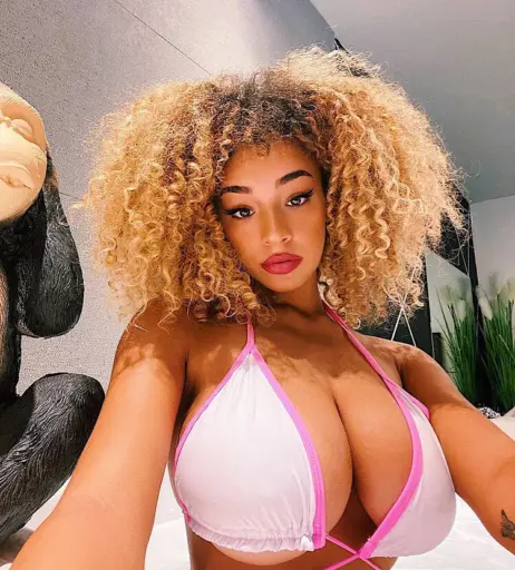 Image 4273379 from Dana Curly