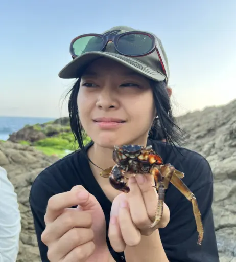 Image 4263648 from miceraa