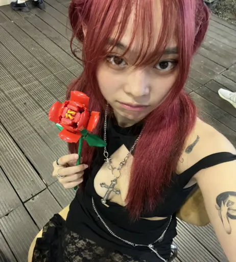 Image 4269303 from miceraa