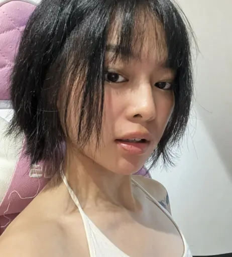 Image 4268147 from miceraa