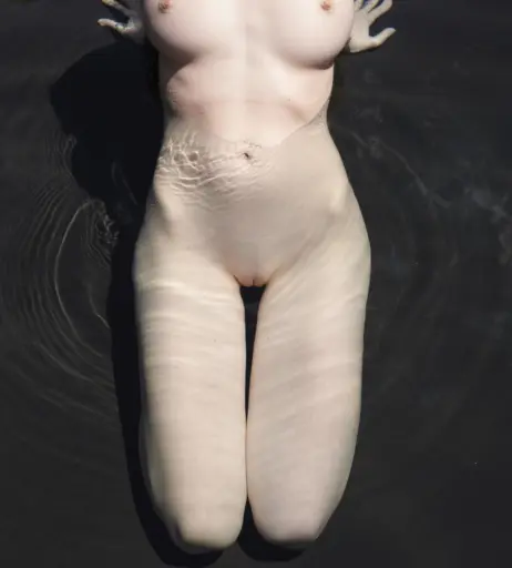 Image 4257992 from Emily Bloom