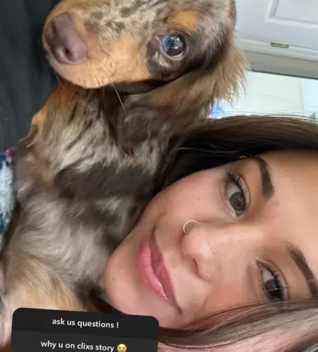 Image 4259447 from Malayaax - Sophieraiin