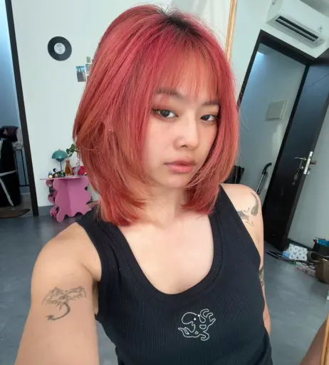 Image 4258608 from miceraa