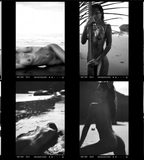 Image 4244420 from Alejandra vidal