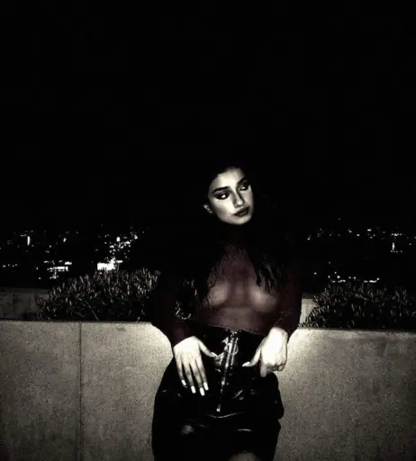 Image 4239663 from Alishbasheikh